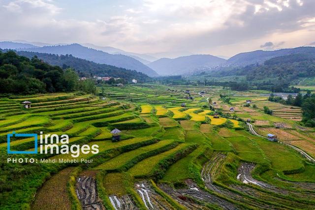 واقف سیاهکلی برای حمایت از سالمندان و معلولان وقف کرد