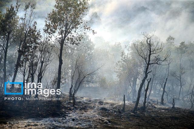 آتش‌سوزی جنگل‌های سوادکوه مهار شد