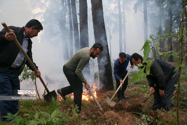 ۴۰۰ نیروی کمکی استان‌های همجوار برای مهار آتش‌سوزی جنگل چالوس پای کار آمدند