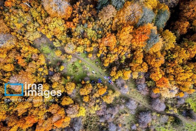 مسیرهای منتهی به جنگل‌های نوشهر مسدود شد