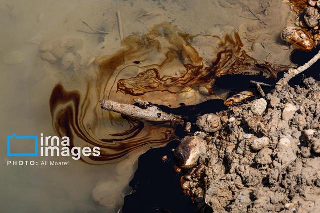 تصفیه آب‌های آلوده به مواد نفتی جزایر سیری با غشاهای نانو کامپوزیتی دانشگاهی