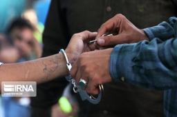 دستگیری ۵۱ نفر به اتهام قاچاق و احتکار نهاده دامی