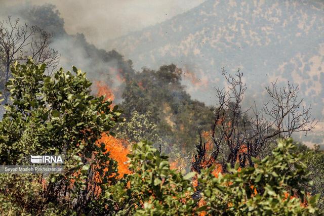 ۱۲ سورتی پرواز برای اطفای حریق الیت/ اعزام ۱۷ تیم امدادی و ۶۴ نیروی عملیاتی هلالاحمر