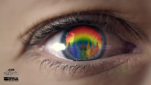 «هفت رنگ ایران»؛ زندگی با جاروبافی  