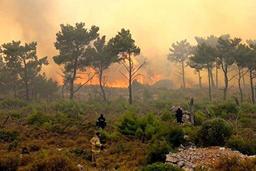 حریق در جنگل‌های الیت چالوس؛ نماینده نوشهر: آتش‌سوزی در ابتدا مثل لکه، کوچک بود و گفتند با جوامع محلی جمع‌ و جور می‌شود/ هواپیمای ترکیه در محل حریق حضور دارد، هواپیمای روسیه هم امروز می‌آید/ هلال احمر: مصدومیت ۵ نفر در این حادثه/ معاون وزیر کشاورزی: ۸ هکتار درگیر آتش‌سوزی شده