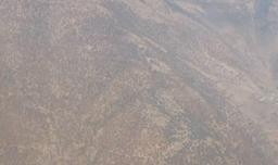 فیلم/ نمای هوایی از آتش‌سوزی الیت