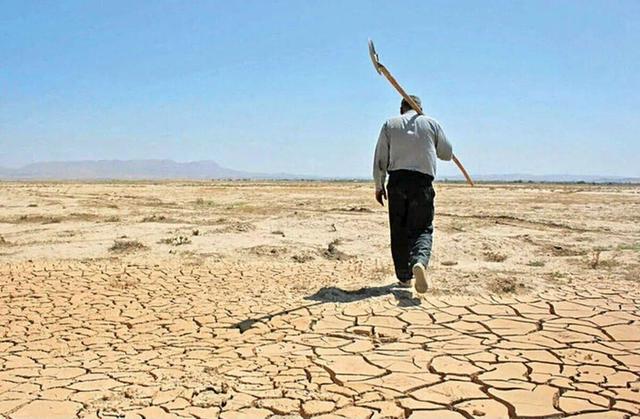 اصلاح الگوی کشت؛ تنها راه عبور از بحران خشکسالی درایلام