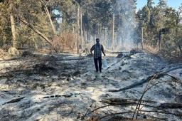 80 درصد آتش سوزی جنگل الیت مهار شد