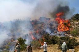 انصاری: آتش‌سوزی الیت 20 روز مداوم نبود