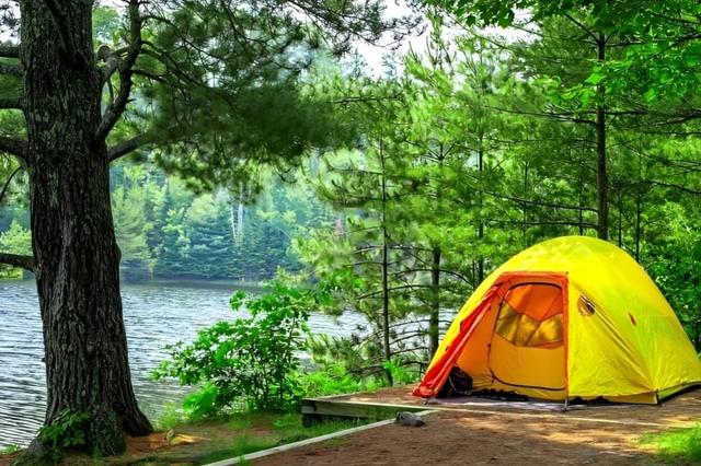 ردپای تورهای مسافرتی در آتش‌سوزی جنگل الیت