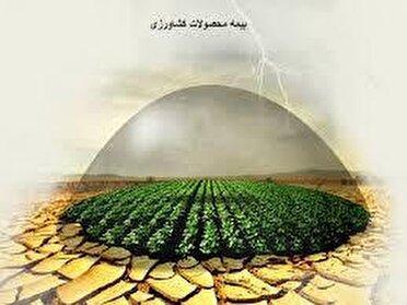 پرداخت غرامت طرح بیمه فراگیر کشاورزی در کرمانشاه اجرا می‌شود