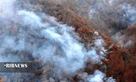 الیت تنها نیست