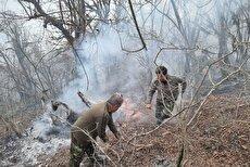 استفاده از بیل برای خاموش کردن آتش جنگل‌های الیت (فیلم)