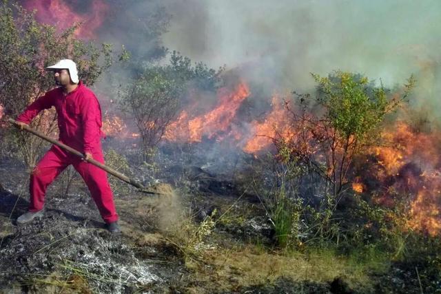 جنگل‌‌های دیزمار جلفا در آتش می‌سوزد/ سه دره موازی در حال سوختن