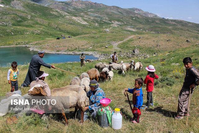 گستردگی و صعب‌العبور بودن مناطق عشایری کار آبرسانی را سخت کرده است
