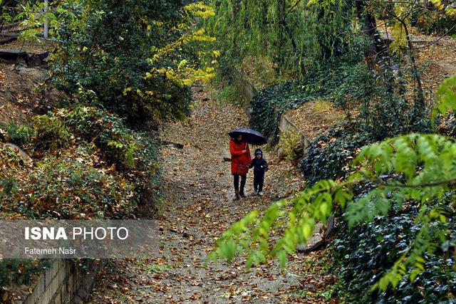 گیلان این هفته بارانی می شود؟