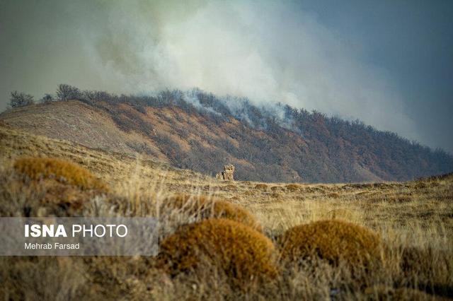 مهارت آتش با ۱۱۵ عملیات پروازی بالگردها و ۱۳ پرواز هواپیماهای ایلیوشین ۴۰ تنی