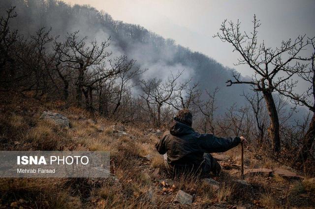 معاون سازمان حفاظت محیط زیست از کنترل نسبی آتشسوزی در جنگلهای حفاظتشده «الیت» خبر داد