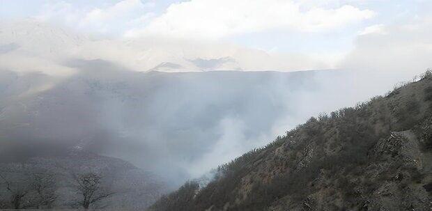 آیا الیت ۲۰ روز مداوم در آتش سوخته است؟