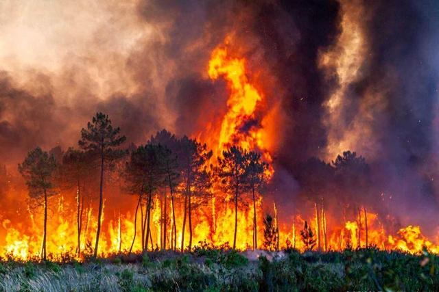 واکنش رسانه‌های بین المللی به آتش‌سوزی جنگل‌های هیرکانی