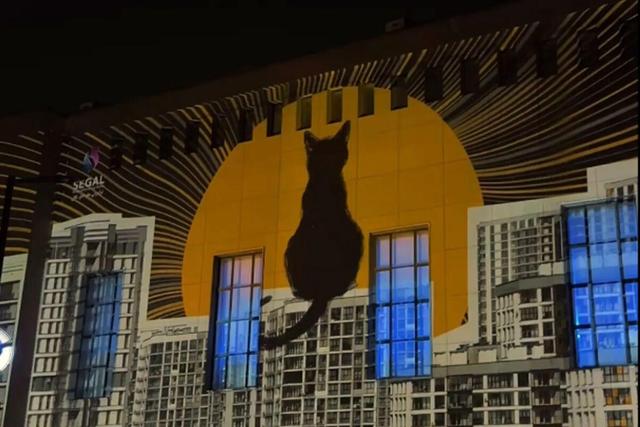 عذرخواهی رئیس دانشکدگان هنرهای زیبا در پی برگزاری رویداد هفته دیزاین