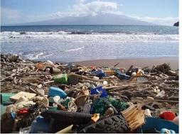 ابتکار جدید فائو برای مدیریت پسماندهای پلاستیکی دریایی