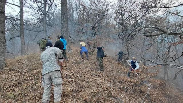 عملیات اطفای حریق در دل جنگل الیت