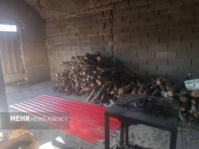 ۴ تن چوب وذغال بلوط قاچاق کشف شد