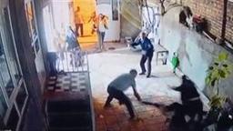 دستگیری عاملان حمله وحشیانه به زوج سالخورده در اهر