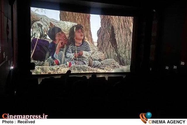 «موی گرگ» به همراه «جهیزیه» پروانه نمایش گرفتند