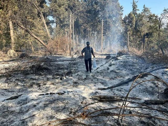 ۸۰ درصد آتش سوزی جنگل الیت مهار شد