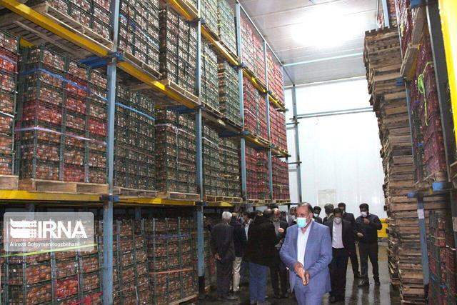 از ری تا سفره مردم؛ نقش حیاتی سردخانهها در امنیت غذایی و تنظیم بازار