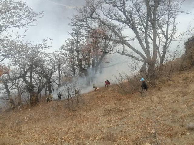 معاون استاندار مازندران: روند گسترش آتشسوزی در الیت به طور کامل متوقف شد