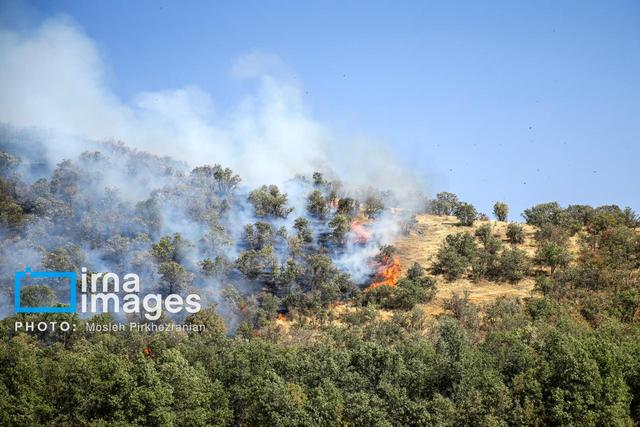 تقویت گروه‌های عملیاتی اطفای حریق الیت با اعزام محیط‌بانان تازه‌نفس از چهار استان