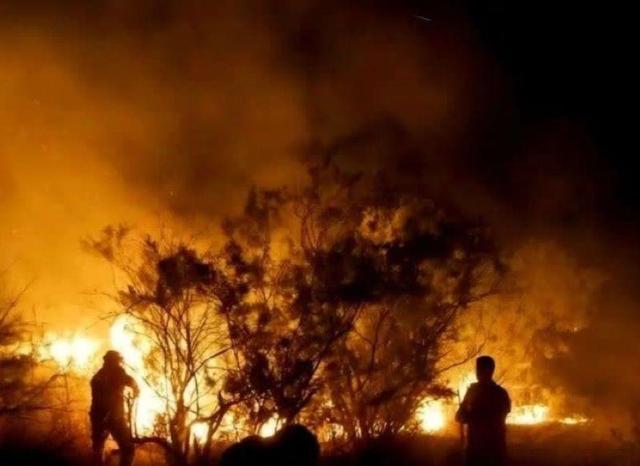 آتش و اشک، روایت مردانگی در الیت