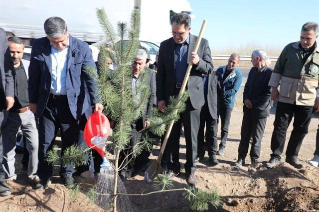 پهنه‌های مستعد درختکاری در استان اردبیل شناسایی می‌شود