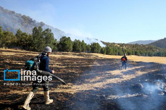 معاون سازمان محیط زیست: آتشسوزی در الیت به دلیل حرکت زیرزمینی، بسیار گولزننده است