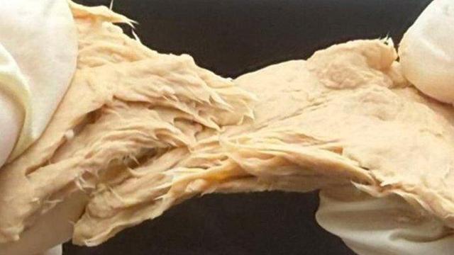 چینی‌ها جهان را غافلگیر کردند: قارچی که می‌توان به جای گوشت خورد!