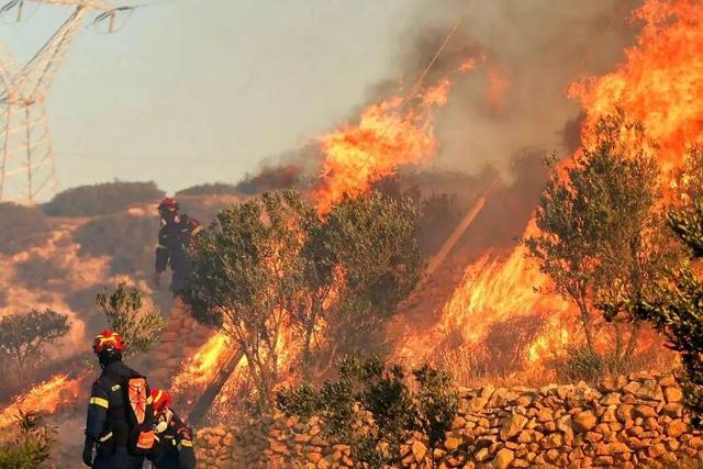 آتش‌نشانی: تاکنون حدود ۸۰ درصد از حریق جنگل‌های الیت چالوس مهار شده/ مراحل تکمیلی در حال انجام است/ پیش‌بینی می‌شود مهار کامل آتش تا غروب امروز به پایان برسد