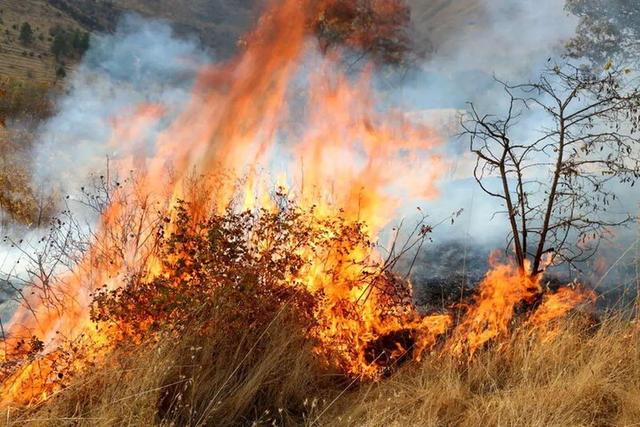 استانداری مازندران: ۵۰۰ نیرو و بالگرد برای نجات جنگل الیت، بسیج شدند/ پمپاژ آب به سمت صخره‌ها و نقاطی که احتمال فعال شدن آتش در آن وجود دارد، با انتقال لوله از رودخانه‌های اطراف انجام شده