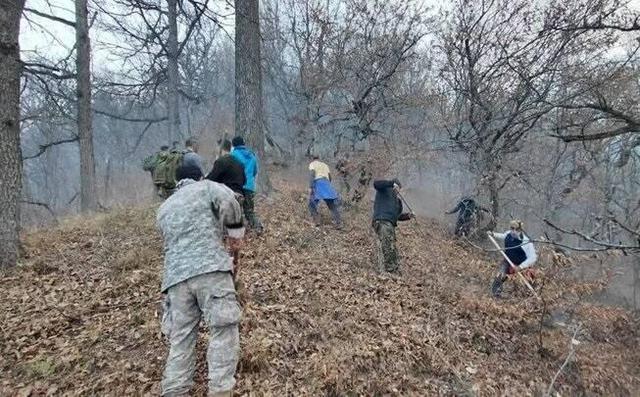 فیلم/ عملیات اطفای حریق در دل جنگل الیت