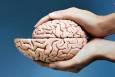 ضعیف شدن عملکرد مغز با کمبود چند ویتامین