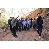 طرح سه‌پایگاهی مازندران برای نجات جنگل‌های هیرکانی