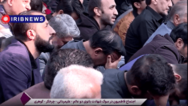 اجتماع فاطمیون در تهران