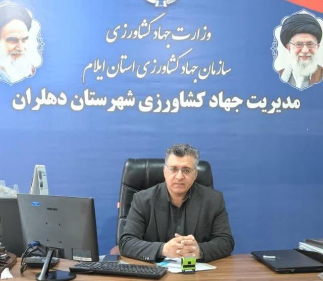 دهلران با گسترش کشاورزی کمآببر در مسیر تولید پایدار قرار دارد/ تولید ۵۰۰ هزار تن محصول با وجود تنش آبی