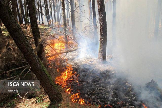 آتش سوزی در جنگل‌های نمنق شهرستان جلفا مهار شد