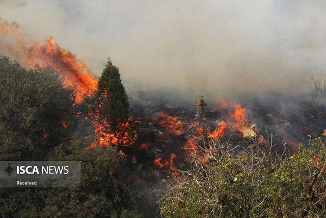 آتش سوزی سریالی در جنگل‌های شمال/ این بار در جنگل‌های زینالو سوادکوه