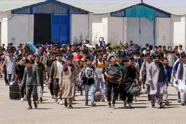 سازمان بازرسی کل کشور: هرگونه قصور در مهار آتش‌سوزی الیت پیگیری می‌شود