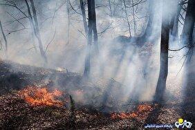 مدیریت بحران: احتمال شعله‌ور شدن مجدد آتش در جنگل‌های هیرکانی وجود دارد