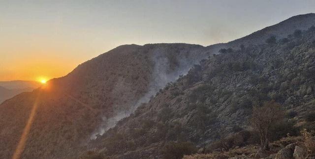 ۸ فناوری‌ نوظهور برای کاهش ریسک آتش‌سوزی‌های جنگلی